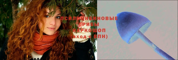прущие крисы Осинники